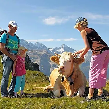 Heimat *